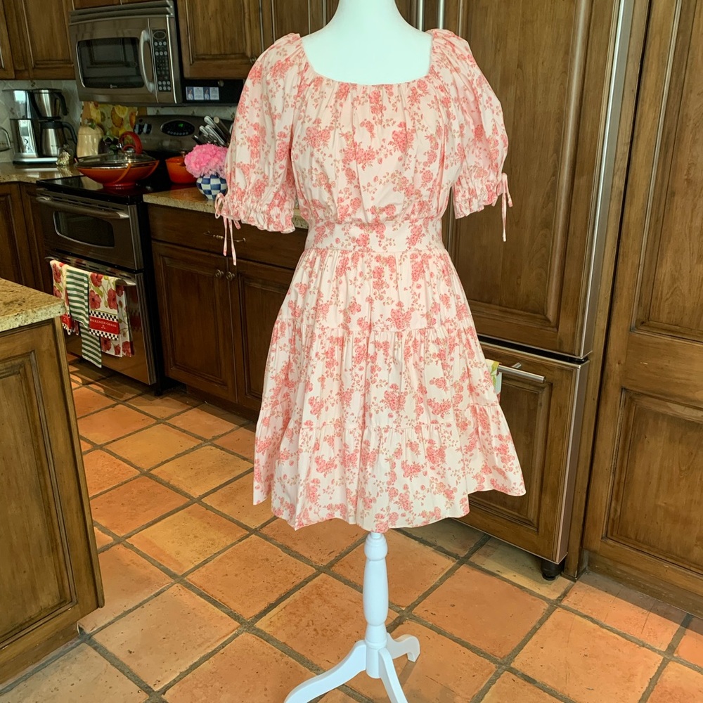 Rachel Parcell Pink Poppy Vine size Small